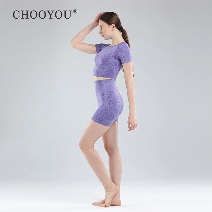Women's Seamless Yoga Short Sleeve Top And Short Set