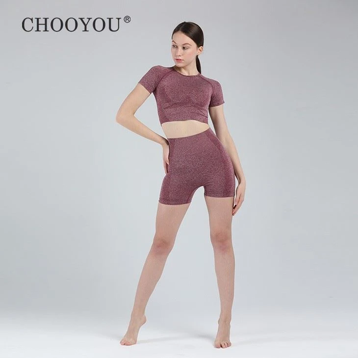 Women's Seamless Yoga Short Sleeve Top And Short Set